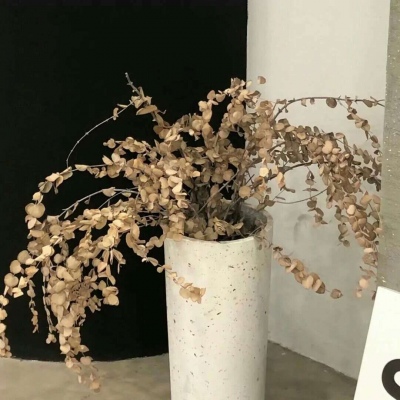 称多FurryQQ群介绍